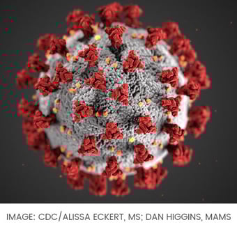 coronavirus