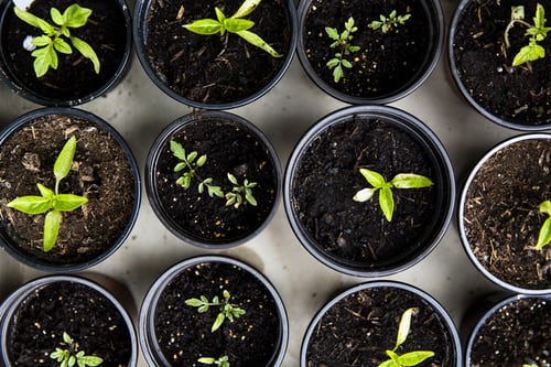 How Working for an Answering Service Can Encourage Both Personal and Professional Growth